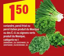 Maxi CORIANDRE, PERSIL FRISÉ OU PERSIL ITALIEN OU OIGNONS VERTS offer