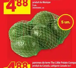 Maxi AVOCATS DÉLICES DU MARCHÉ PRODUIT DU MEXIQUE, 5 un offer