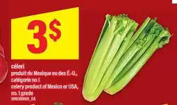 Maxi CÉLERI | CELERY offer