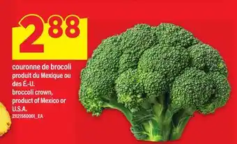 Maxi COURONNE DE BROCOLI | BROCCOLI CROWN offer