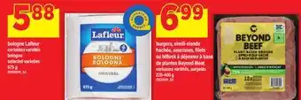 Maxi BOLOGNE LAFLEUR offer