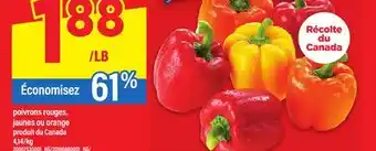 Maxi POIVRONS ROUGES, JAUNES OU ORANGE offer