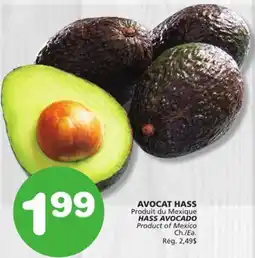 Marches Tradition HASS AVOCADO offer