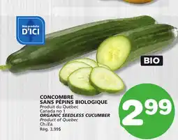 Marches Tradition ORGANIC SEEDLESS CUCUMBER offer