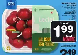 Marches Tradition LE CIEL GREENHOUSE RED RADISHES offer