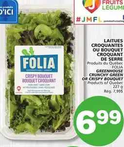 Marches Tradition FOLIA GREENHOUSE CRUNCHY GREEN OR CRISPY BOUQUET offer