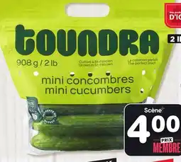 Marches Tradition SEEDLESS MINI CUCUMBERS offer