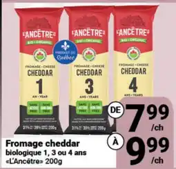 Pasquier Fromage cheddar biologique 1, 3 ou 4 ans L'Ancêtre offer