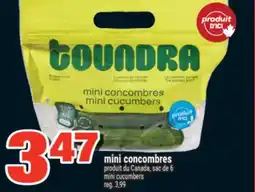 Super C MINI CONCOMBRES | MINI CUCUMBERS offer
