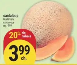 Marché Adonis cantaloup | cantaloupe offer