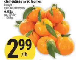 Marché Adonis clémentines avec feuilles | stem leaf clementines offer