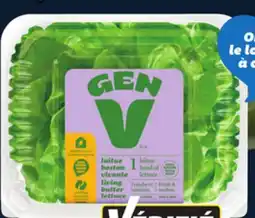 IGA GREENHOUSE LIVING BUTTER LETTUCE offer