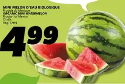 IGA ORGANIC MINI WATERMELON offer