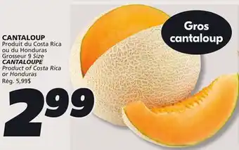 IGA CANTALOUPE offer