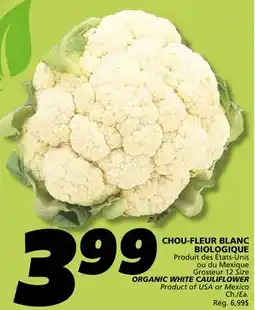 IGA ORGANIC WHITE CAULIFLOWER offer