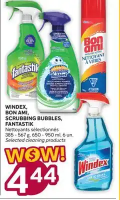 Brunet WINDEX, BON AMI, SCRUBBING BUBBLES, FANTASTIK Nettoyants sélectionnés offer