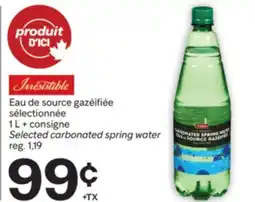 Brunet Irresitible Eau de source gazéifiée sélectionnée offer