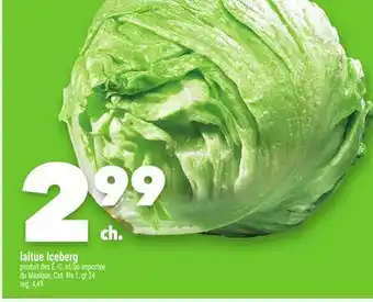 Marche Ami laitue Iceberg offer