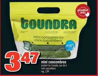Super C mini concombres offer