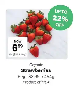 Blush Lane Organics Organic Strawberries offer