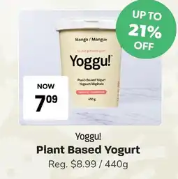 Blush Lane Organics Yoggu! Plant Based Yogurt offer