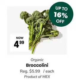 Blush Lane Organics Organic Broccolini offer