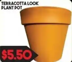 Fresh Market Foods Terracotta look plant pot offer