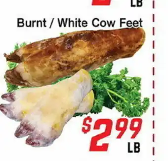 Burnt / White Cow Feet