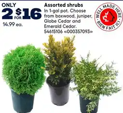RONA Assorted shrubs offer