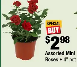 Home Depot Assorted mini roses 4 pot offer
