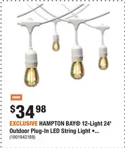 Home Depot EXCLUSIVE HAMPTON BAY 12-Light 24' Outdoor Plug-In LED String Light • White offer