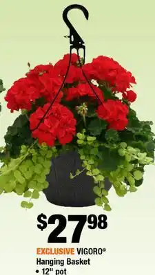 Home Depot Vigoro hanging basket 12 pot offer