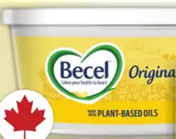Food Basics BECEL MARGARINE offer
