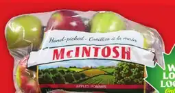 Food Basics APPLES OR RED PRINCE APPLES offer