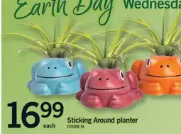 Fortinos STICKING AROUND PLANTER offer