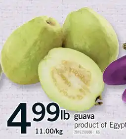 Fortinos GUAVA offer
