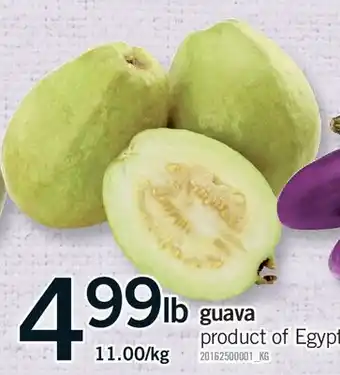 Fortinos GUAVA offer