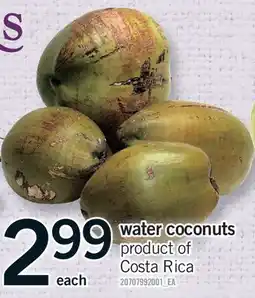 Fortinos WATER COCONUT offer