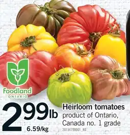 Fortinos HEIRLOOM TOMATOES offer