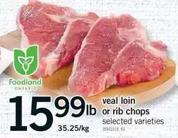 Fortinos VEAL LOIN OR RIB CHOPS offer