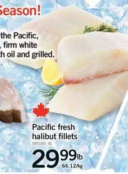 Fortinos PACIFIC FRESH HALIBUT FILLETS offer