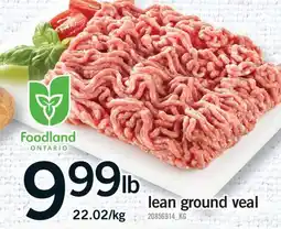 Fortinos LEAN GROUND VEAL offer