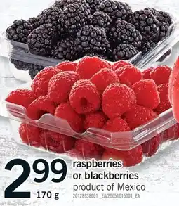 Fortinos RASPBERRIES OR BLACKBERRIES offer