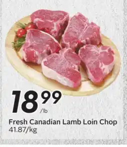 Sobeys Fresh Canadian Lamb Loin Chop offer
