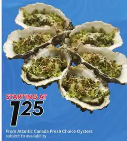 Sobeys Fresh Choice Oysters offer