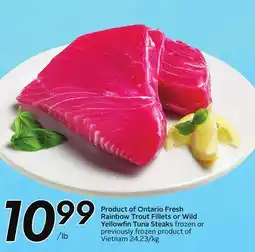 Sobeys Product of Ontario Fresh Rainbow Trout Fillets or Wild Yellowfin Tuna Steaks offer