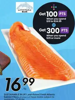 Sobeys SUSTAINABLE BLUE Land-Raised Fresh Atlantic Salmon Fillets offer