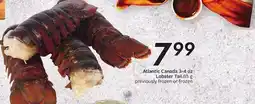 Sobeys Atlantic Canada 3-4 oz Lobster Tail offer
