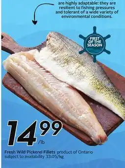 Sobeys Fresh Wild Pickerel Fillets offer