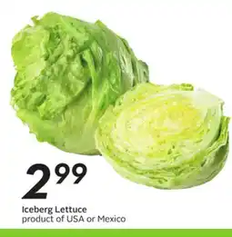 Sobeys Iceberg Lettuce offer